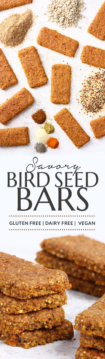 savory-bird-seed-bars-pinterest