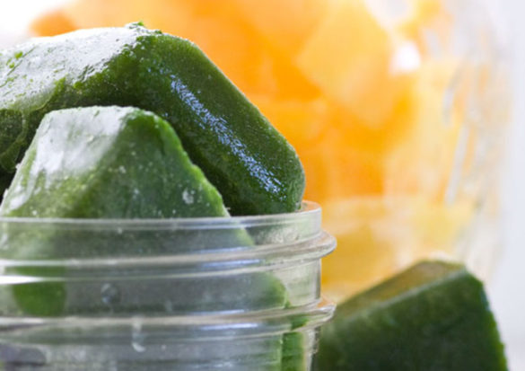 FROZEN KALE CUBES FOR SMOOTHIES