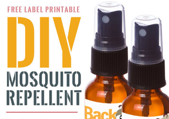 Now, whenever he heads out the door, I douse (well, lightly spray) him with this homemade non-toxic mosquito repellent. So far, so good. No more bites.