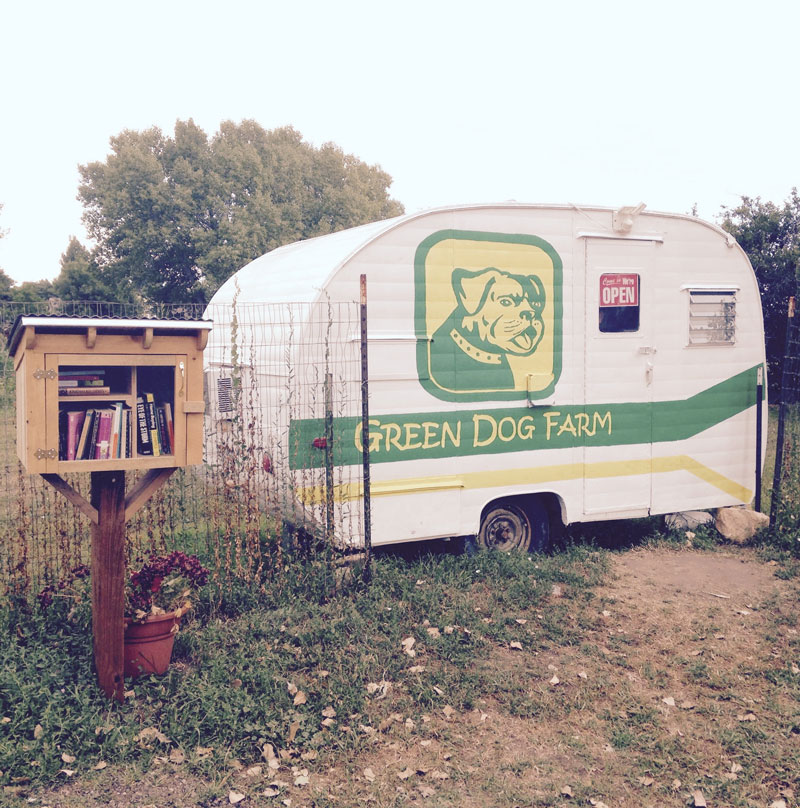 The best adventures often are discovering hidden treasures in your own backyard. We were in for a real treat when we stumbled upon the Green Dog Farm community supported agriculture (CSA) trailer.